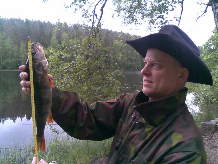 Konnevesi 15.07.2009
n 40cm ahven.
Kalaruokaa tarjosi perheelle sienikastikkeen kera
T. Hyytiäinen Espoosta.